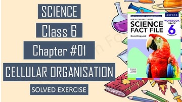 Class 6 || Science Fact File || Cellular Organization || Chapter 1 || Complete Exercise