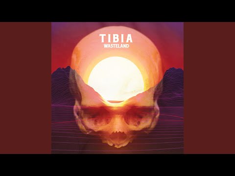 TIBIA (4) — The Open Gate