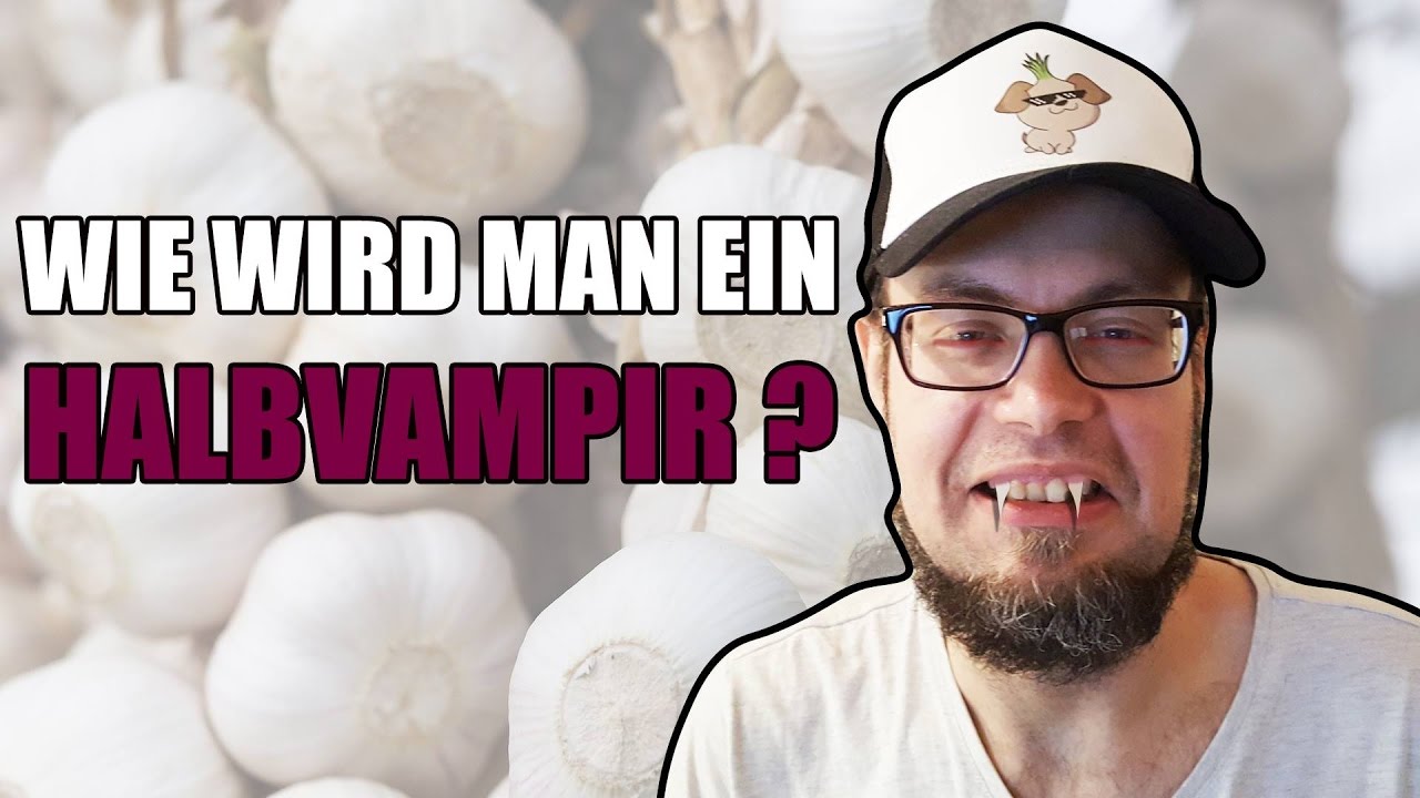 Wie Wird Man Spielerberater Wie Wird Man Spielerberater