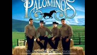Los Palominos - La Misma chords