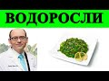 Салат из морских водорослей может повысить иммунную функцию - Доктор Майкл Грегер