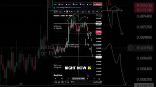 PENGU Price Prediction – Big Move Incoming Soon #cryptomarket #altcoins