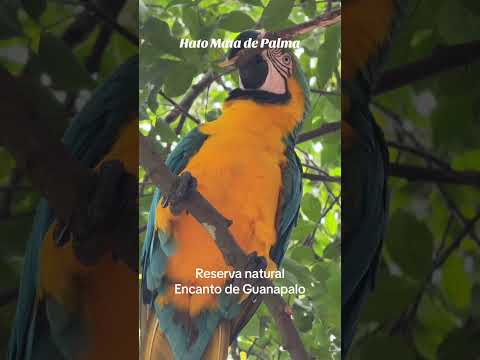 Reserva Natural Encanto
