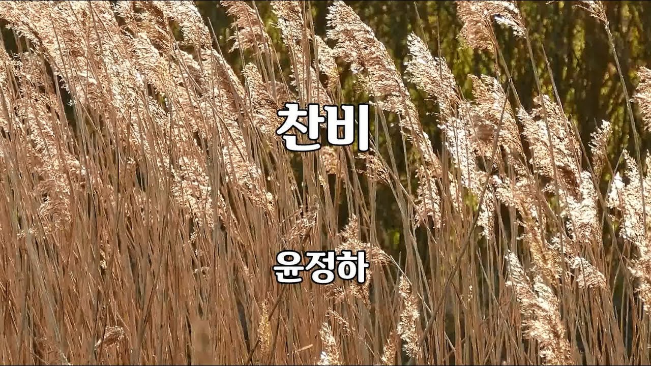 찬비 - 윤정하 노래 / 하수영 작사 / 하수영 작곡 / 1곡 재생 / 7080가요산책 - YouTube