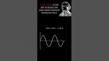 Euler’s Perspective on Mathematics: The Hidden Beauty of Functions