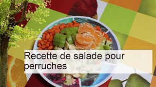 Recette de salade pour perruches | Recettes | Perruches