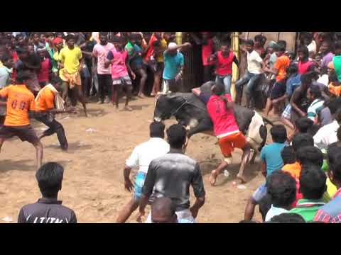 ARIYALUR murttkalai