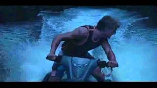 シャーク ナイト アオザメ捕食シーン Youtube