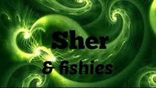 Sher Meets The Fishies Sher Se Encuentra Con Unos Pecesitos