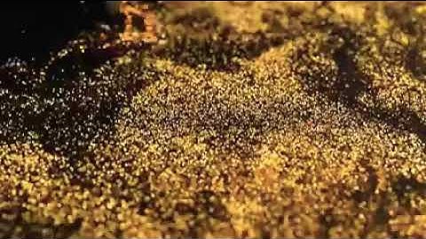 سورة البلد إسلام صبحي استمع ولن تمل🦋💜