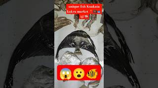 #unique fish in Kuakata#street#food #seafood#foryou#subscribe#fypシ゚viral#like#share#comment#travel