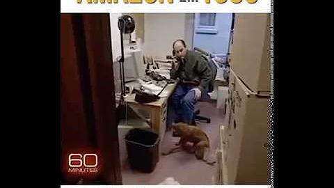 Amazon 1999 60 minutes legendado pt-br