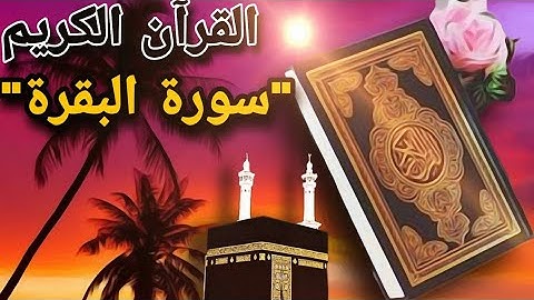 سورة البقرة تلاوة رائعة ولا اروع  تنسيك الدنيا وهمها