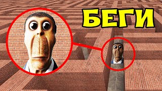 Реалистичный ОБУНГА в лабиринте гоняется за нами OBUNGA NEXTBOT GMOD ► Garry's Mod