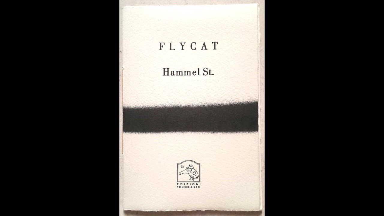 FLYCAT con Alberto Casiraghy   EDIZIONI PULCINOELEFANTE