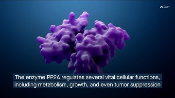 How tumor suppressor PP2A promotes colorectal cancer