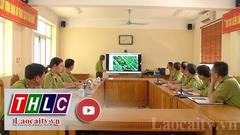Ứng dụng công nghệ thông tin trong phòng chống cháy rừng | THLC