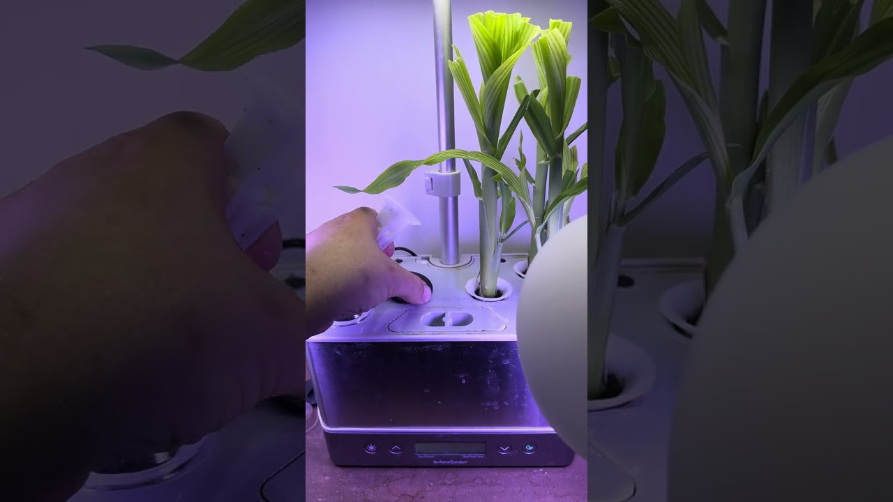 Will it germinate????