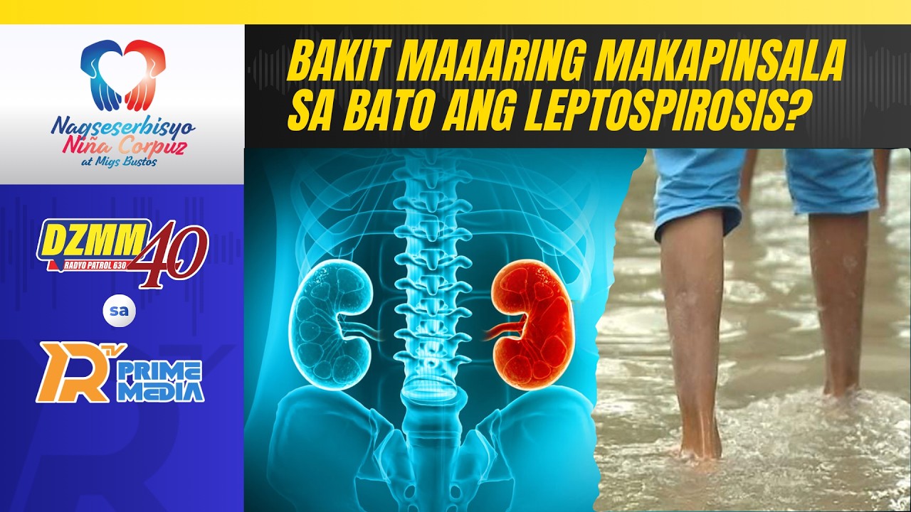 Bakit maaaring makapinsala sa Bato ang Leptospirosis? | Nagseserbisyo Niña Corpuz