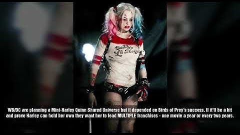 Plans for Harley Quinn's Future in the DCEU Revealed