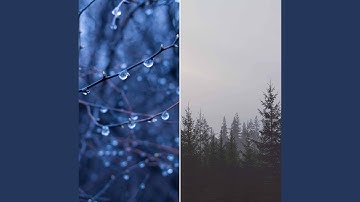 Simplistic Backdrops for Decompressing Moods