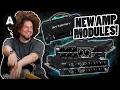 Rabea Tests Synergy&#39;s Latest Valve Preamp Modules for their Modular Amp!