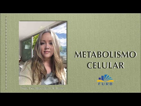 Metabolismo