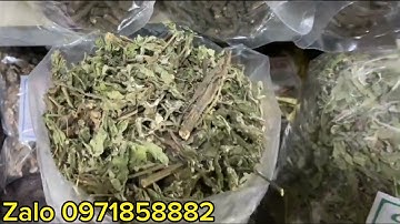 cây cải trời giá bao nhiêu 1kg ?