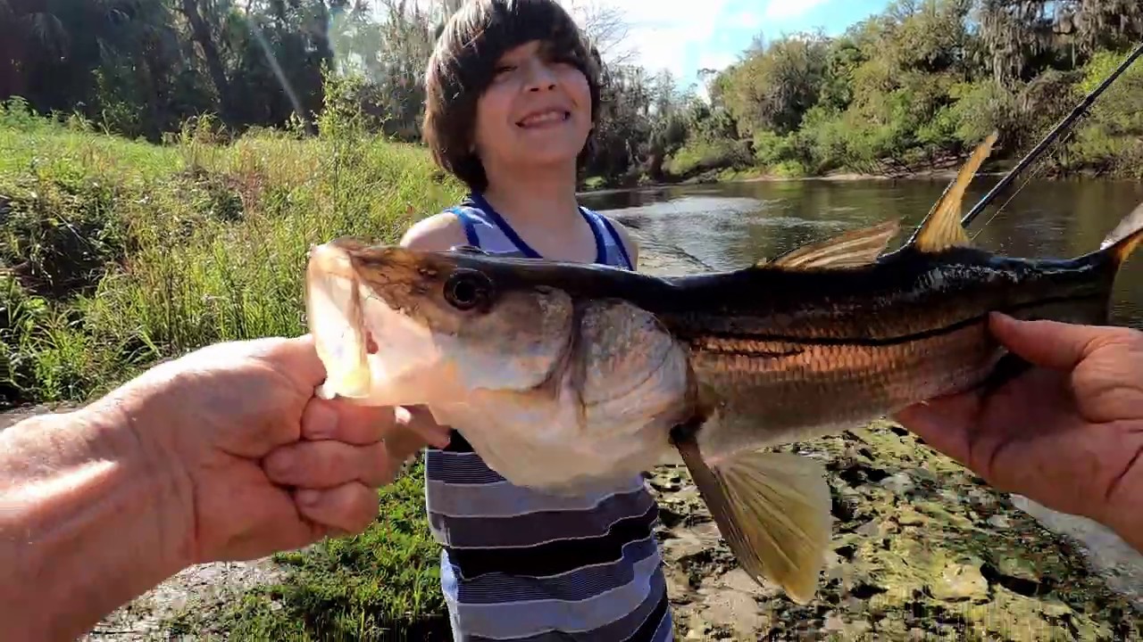Snook Catch in Peace River Central Florida