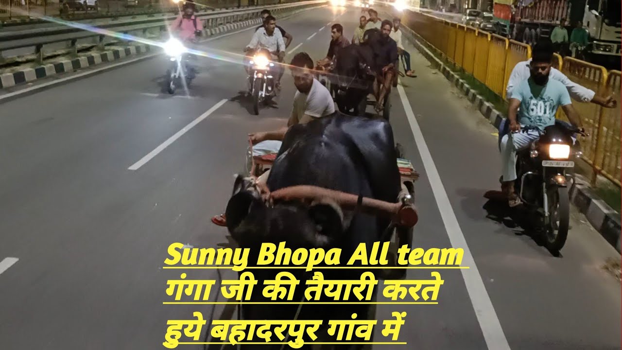 सनी भोपा ओर छोटू अलीपुरा भाई ने आज बहादरपुर गांव में झोटे की तयारी करते हुऐ