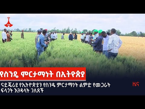 ቪዲዮ: የመጋራት መናፈሻ ምንድን ነው - ችሮታውን የሚጋሩ የማህበረሰብ ገነቶች