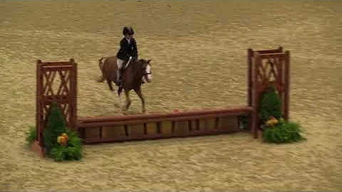 Video of GRAND SLAM ridden by LAUREN GEE from Show...