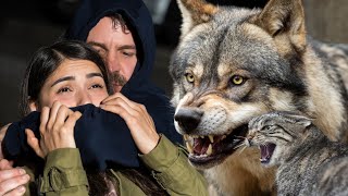 El Lobo Y El Gato Con Un Peso Inusual, Rescataron A Una Niña De Los Ladrones