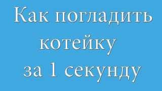 Как погладить кота за 1 секунду.(Просмотрев данный ролик, вы узнаете как погладить котейку за 1 секунду. Подпишись на канал и подними себе..., 2013-05-21T11:15:08.000Z)