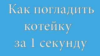 Как погладить кота за 1 секунду.(Просмотрев данный ролик, вы узнаете как погладить котейку за 1 секунду. Подпишись на канал и подними себе..., 2013-05-21T11:15:08.000Z)