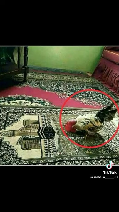 Binatang bersujud  kepada Allah SWT.