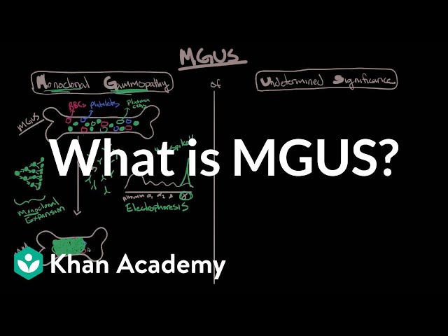 How is monoclonal paraproteinemia related to leukemia?