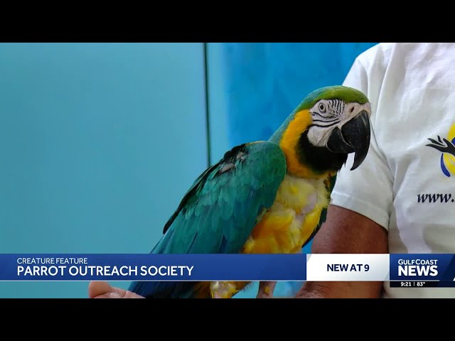 Who is Dave in Exotic Birds of Denver: The Ultimate Insider Revealed