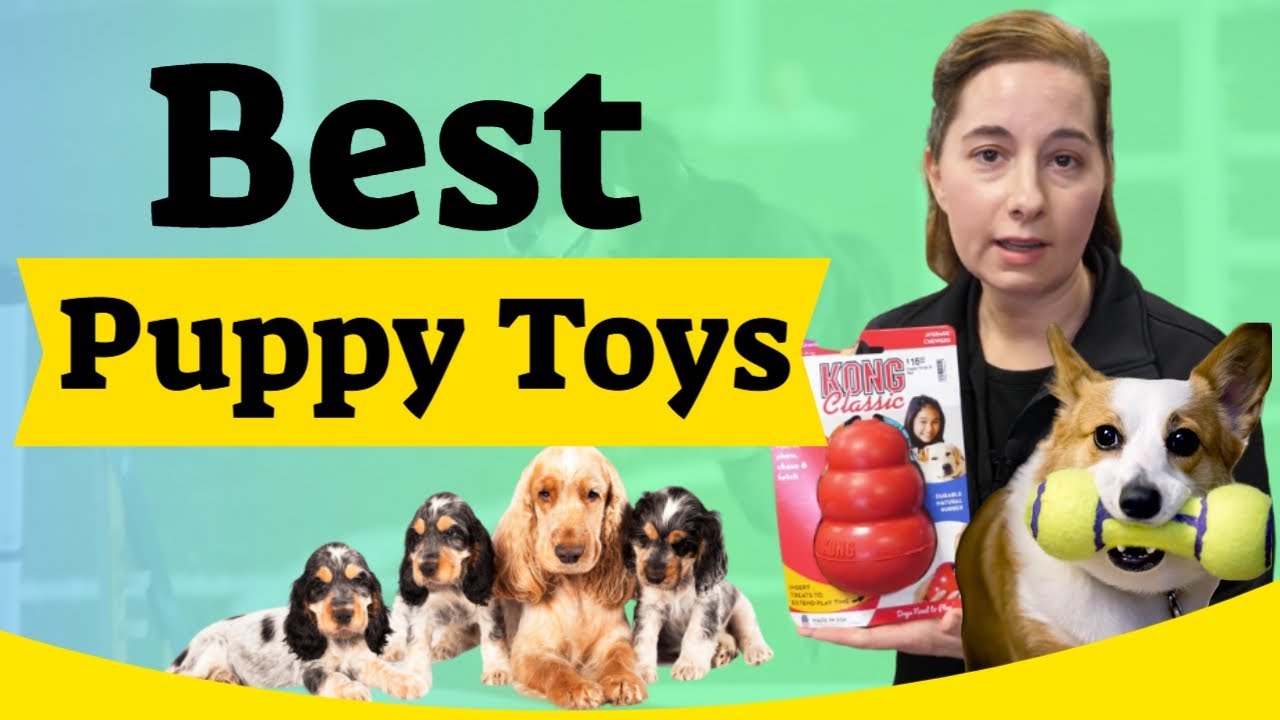 best chew toys puppies