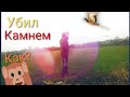 Проверка петель на фазана - и снимаю их (убил фазана камнем😂)