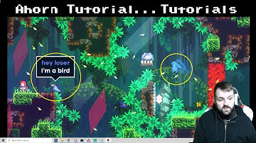Ahorn Tutorials: Playback and Bird Tutorials