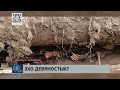 Загадка прошлых лет: скелет человека найден в лотке теплотрассы - похоже, труп появился тут в 90-х