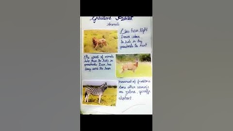 Habitat album for animals and plants for garde6