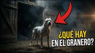 Por Que el Dogo Argentino No Salía del Granero?… Lo que Descubrieron Cambió Todo
