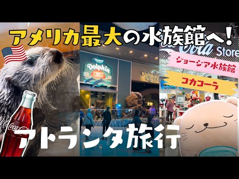 【アトランタ旅行vlog】実在！むっちりしたラッコ。アメリカ最大「ジョージア水族館」＆ワールドオブコカコーラ🦦【世界のラッコ紀行/Georgia Aquarium】