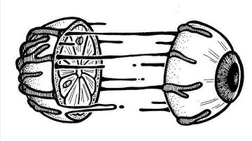 Icarus flew too high - jxshua