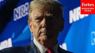 If Trump Is Convicted Of A Felony 'All Bets Are Off' As To Whether He Keeps Leading Biden: Luntz