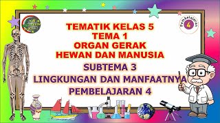 Kelas 5 Tematik : Tema 1 Subtema 3 Pembelajaran 4 (ORGAN GERAK HEWAN DAN MANUSIA)