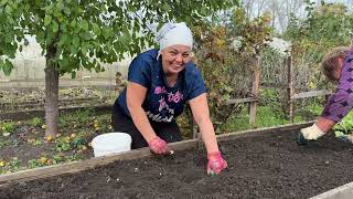 видео: блестят КАК...//дела ОГОРОДНЫЕ-мы это уже СДЕЛАЛИ//схватила САМЫЙ БОЛЬШОЙ картинка: блестят КАК...//дела ОГОРОДНЫЕ-мы это уже СДЕЛАЛИ//схватила САМЫЙ БОЛЬШОЙ