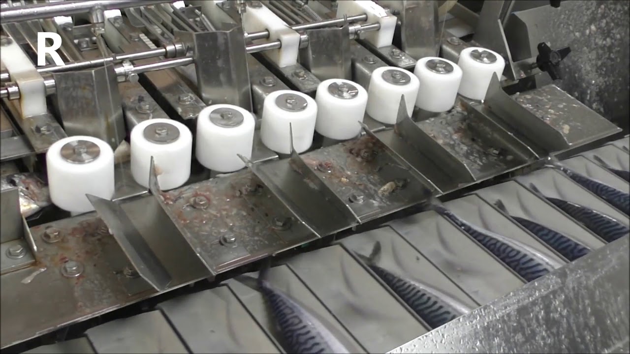 VMK - Ligne étêtage / équeutage